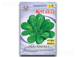 �Ϻ����~����-����N��-�����N�I