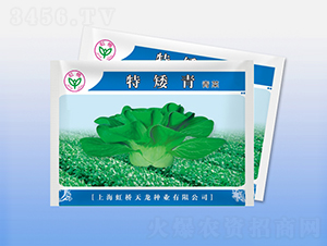 �ذ���-�๣�˷N��-�����N�I