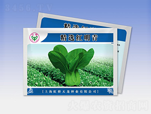 ���x�t����-�๣�˷N��-�����N�I