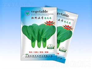 ���5̖-�๣�˷N��-�����N�I