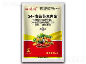 24���|̦�؃���-���M��-�S�՘�