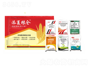 ����I�B��Q����������һ��-���ļZ�}-�S�՘�