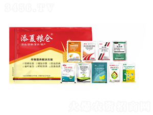 ����I�B��Q�������ź�һ��-���ļZ�}-�S�՘�