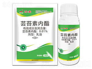 �|̦�؃�֬-28-��-������