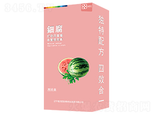 ⚸������b��-������