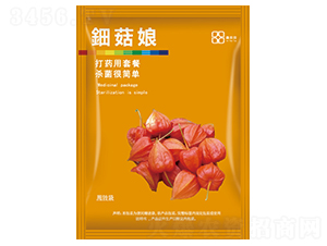 ⚹���-������