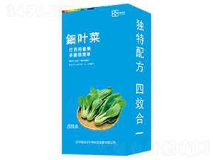 ��~�ˣ����b��-������