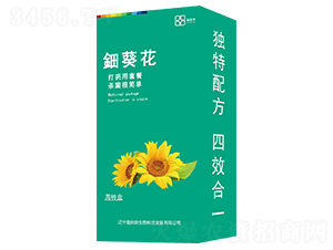 ⚿��������b��-������