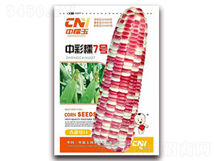 �в�Ŵ7̖-Ŵ���׷N��-�δ�G