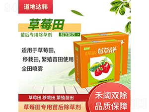 ��ݮ����ó��݄�-��ݮ�o-�����_�n