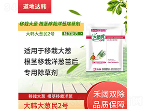 ���Դ��[���o�������[���������݄�-���[��2̖-�����_�n