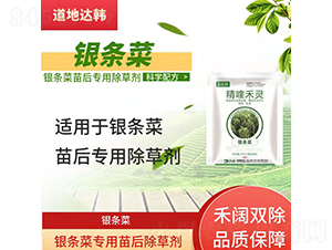 �y�l�ˌ��������݄�-�����_�n