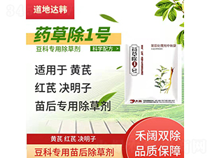 ���ƌ��������݄�-ˎ�ݳ�1̖-�����_�n