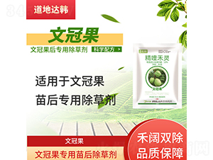 �Ĺڹ����������݄�-�����_�n