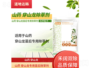 ɽˎ��ɽ�����������݄�-�����_�n