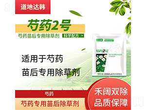 ��ˎ���������݄�-��ˎ2̖-�����_�n