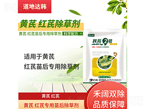 �S�μt�Ό��������݄�-�α�2̖-�����_�n