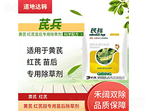 �S�μt�Ό��������݄�-�α�-�����_�n