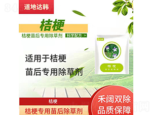 �۹����������݄�-�����_�n