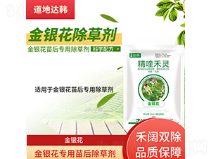 ���y�����������݄�-�����_�n