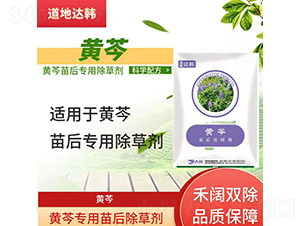 �S�ˌ��������݄�-�����_�n