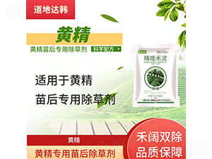 �S�����������݄�-�����_�n