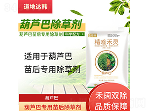 ���J�͌��������݄�-�����_�n