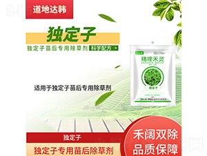 �����ӌ��������݄�-�����_�n