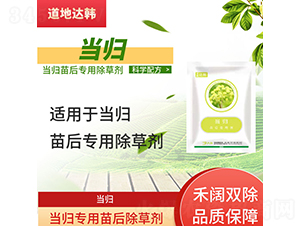 ���w���������݄�-�����_�n