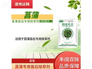 ���ь��������݄�-�����_�n