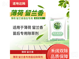 �������m�㌣�������݄�-�����_�n