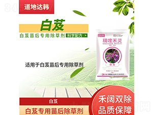 ��ܸ���������݄�-�����_�n