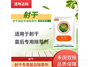 ��Ɍ��������݄�-�����_�n