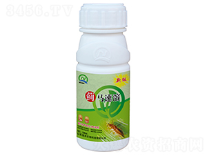 �E�R���������܄�-�E�R����-���r����