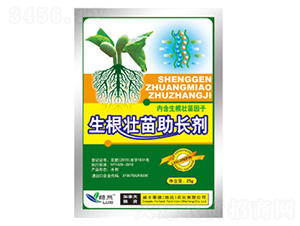 �����������L(zh��ng)��-�G��-��ʿ�R��