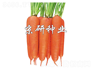 �A�u(y��)258-���}���N��-����