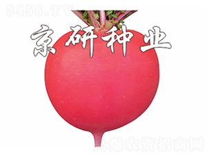 ���t4̖(h��o)-�}���N��-����