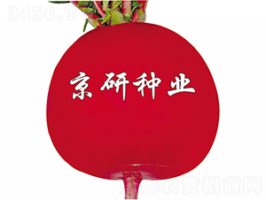 ���t6̖(h��o)-�}���N��-����