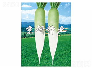 ����2̖(h��o)-�}���N��-����