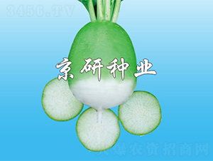 ����1̖(h��o)-�}���N��-����