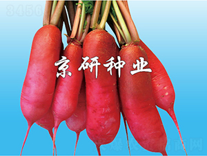 ����ˮ�}��-�}���N��-����