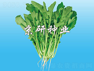 �����~���}��-�}���N��-����