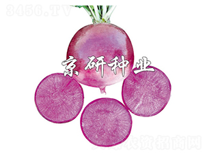 �����ϵ�-�}���N��-����