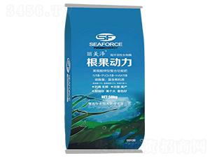 �����������{ɫ���b��-������-���r���