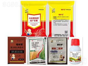 �߮a�ײ�-С������n�����{�ڣ�-����