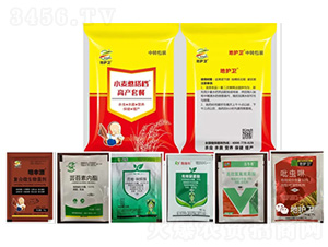 �߮a�ײ�-С������n��С���ι�ǰ��-����