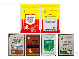 �߮a�ײ�-С������n�������ڣ�-����