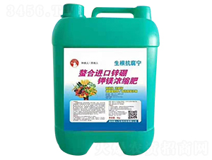 �����M���\����V��sҺ-��ؼZ��