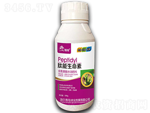 ����������-ֲ�^-�����r(n��ng)�I(y��)