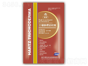 ����̎�����-ֲ�^-�����r�I